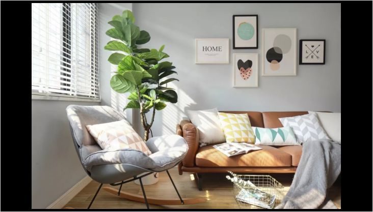 新家怎么除甲醛，不容忽視